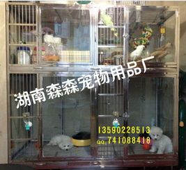 湖南森森寵物用品廠 專業(yè)批發(fā)各類寵物籠具及寵物食品，打造一站式采購(gòu)體驗(yàn)