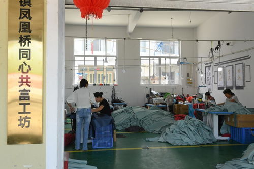 村里建起“沒有圍墻的工廠”——浙江臨海“共富工坊”以技術(shù)服務(wù)助力農(nóng)民家門口就業(yè)增收